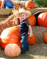2014 Pumpkin Patch at Coopers Garden Place